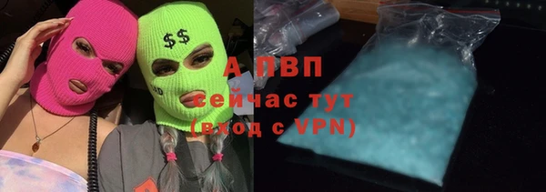 дмт Белокуриха