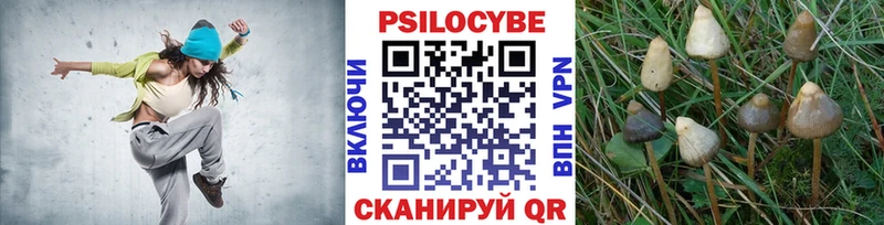 Псилоцибиновые грибы Cubensis  Волосово 